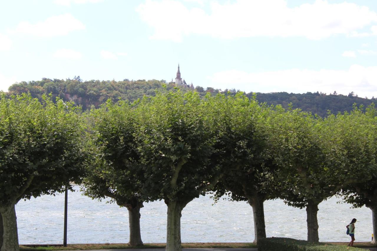 Top Rüdesheim am Rhein Exteriér fotografie