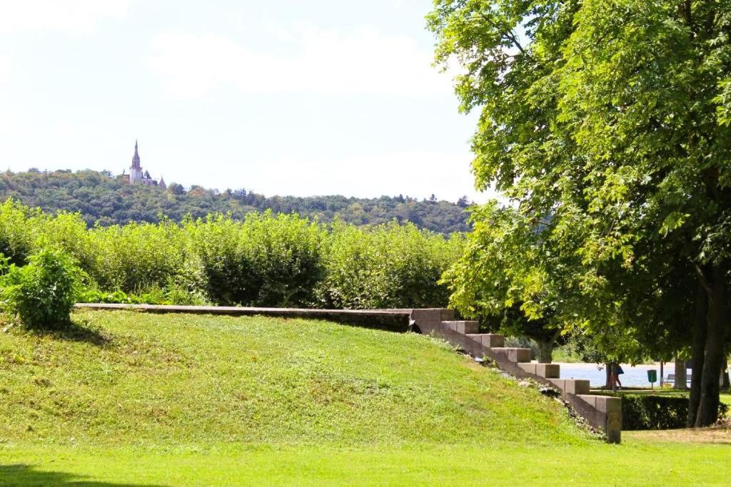 Top Rüdesheim am Rhein Exteriér fotografie